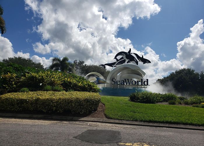 Discovery Cove photo