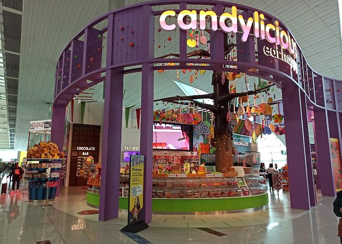 Airport Terminal 3 Metro Station photo