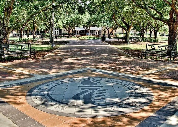 McNeese State University photo