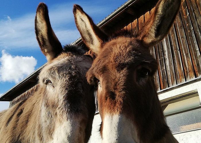 Melk Abbey THE 10 BEST Hotels in Emmersdorf an der Donau, Austria 2024 (from ... photo