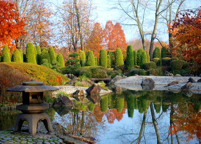 Bonn Botanical Garden Japanese Garden, Bonn | Daniel in Germany photo