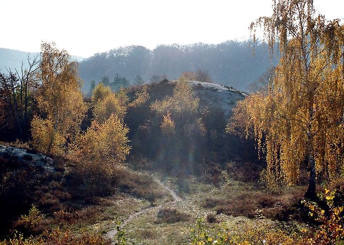 Kyffhäuser Visit Südharz: 2024 Travel Guide for Südharz, Saxony-Anhalt | Expedia photo