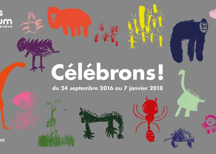 Natural History Museum of Geneva Geneva Natural History Museum: 50th anniversary and #Ecsite2018 on ... photo