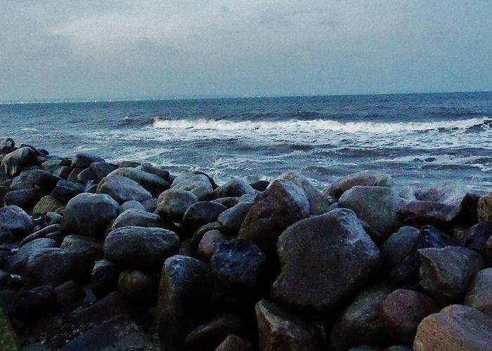 Niendorf bird park Visit Niendorf: 2024 Travel Guide for Niendorf, Timmendorfer ... photo