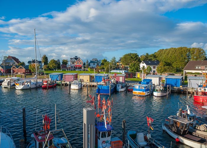 Niendorf bird park Visit Niendorf: 2024 Travel Guide for Niendorf, Timmendorfer ... photo