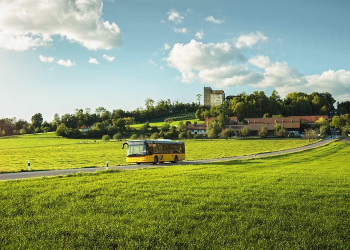 Habsburg Castle Habsburg and Wildegg castle tour photo