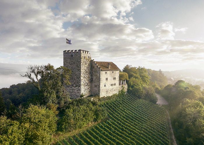 Habsburg Castle Getting here car, bus or on foot - Habsburg Castle photo