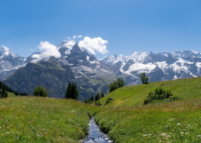 Allmendhubelbahn Switzerland is a dream [OC] [5200x4160] : r/EarthPorn photo