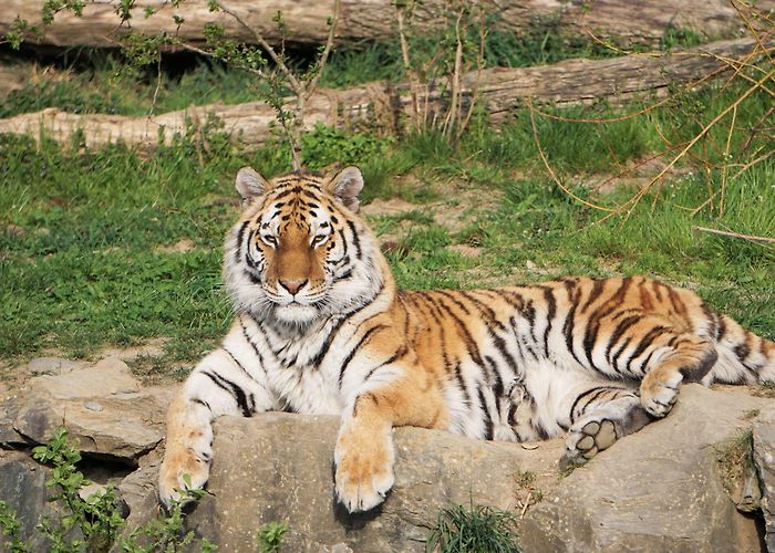 WALTER ZOO AG Walter Zoo AG Gossau - st.gallen-bodensee.ch - EN photo