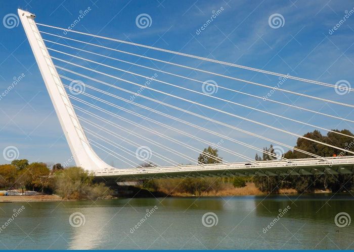 Alamillo Park Alamillo bridge editorial stock photo. Image of built - 23742168 photo