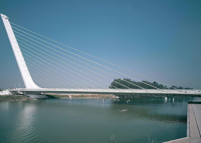 Alamillo Park Alamillo Bridge, Seville - Santiago Calatrava | Arquitectura Viva photo