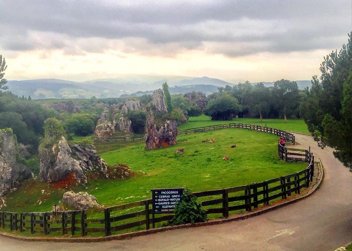 Cabarceno Nature Park Cabarceno Natural Park Tours - Book Now | Expedia photo