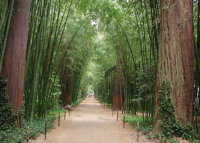 Bambouseraie de Prafrance Art Absolument - La Bambouseraie photo