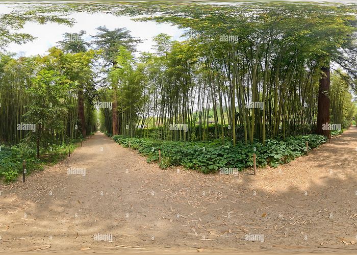 Bambouseraie de Prafrance Bambouseraie de prafrance hi-res stock photography and images - Alamy photo