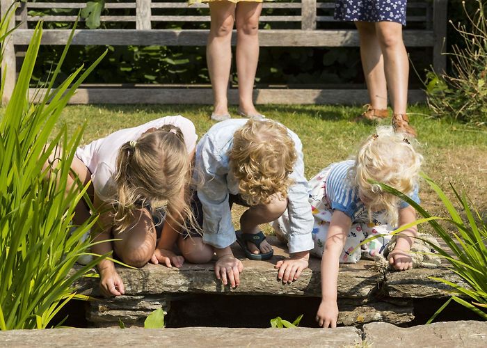 Hestercombe Gardens What's On - Hestercombe photo