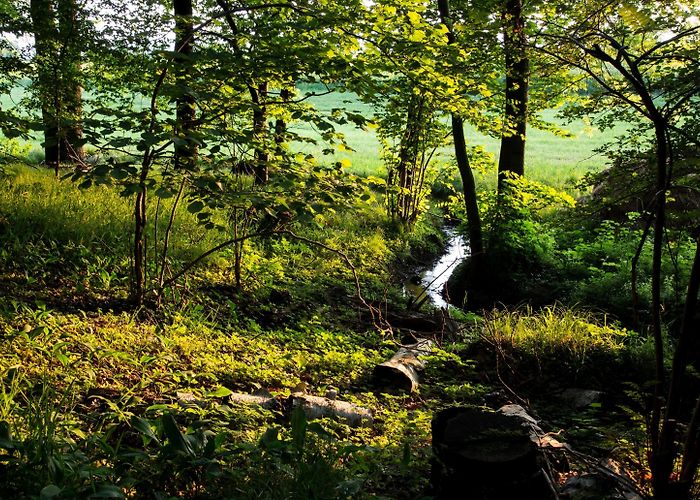 Culture and Congress Centre Gera Visit Gera: 2024 Travel Guide for Gera, Thuringia | Expedia photo