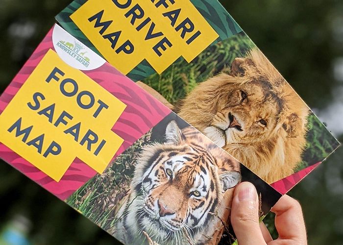 knowsley safari park Fun-filled day at Knowsley Safari Park during covid-19 » Culturebean photo