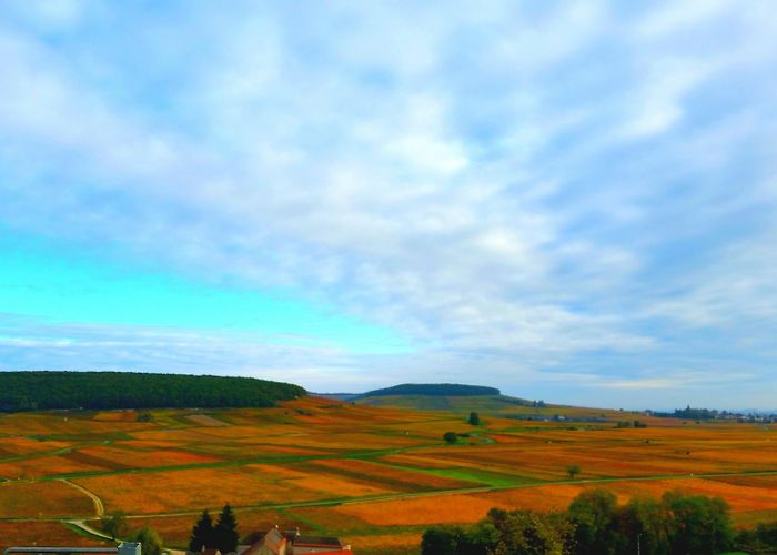 Basilique Sainte Marie-Madeleine Vezelay Abbey Tours - Book Now | Expedia photo