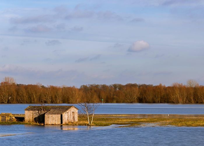 Zwaluwhoeve Things to Do in Gelderland in 2024 | Expedia photo