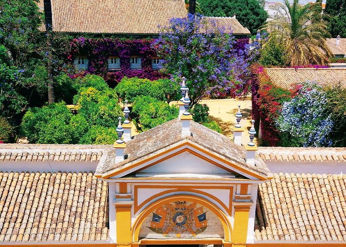 Palacio de las Dueñas Palacio de las Dueñas Sevilla Tickets - Save 20% | Skip the Line ... photo