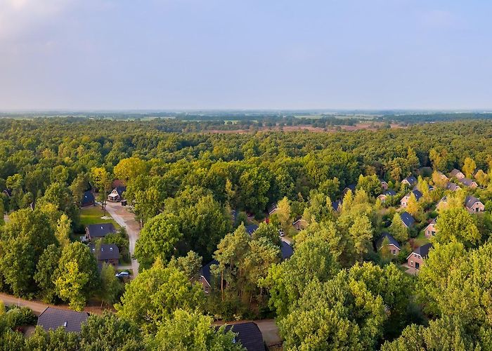 Boomkroonpad Landgoed Het Grote Zand, Holiday park in Hooghalen - Photos ... photo