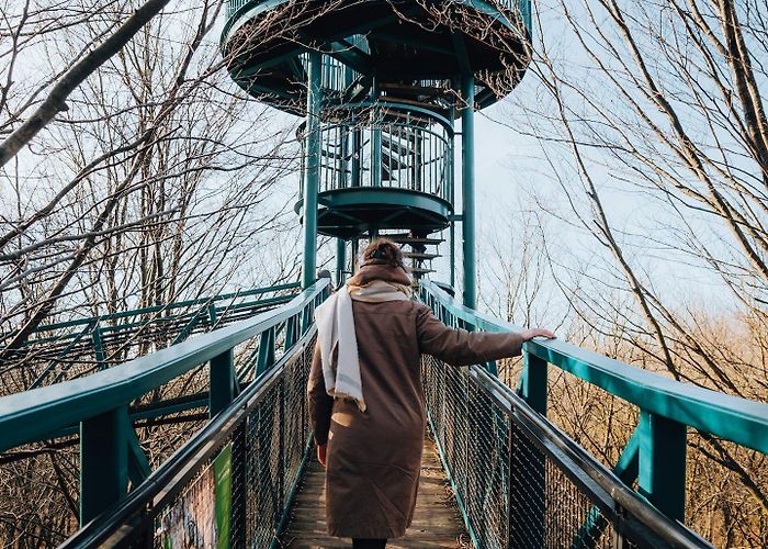 Boomkroonpad Leave Amsterdam for this winter outdoor escape in Drenthe! photo