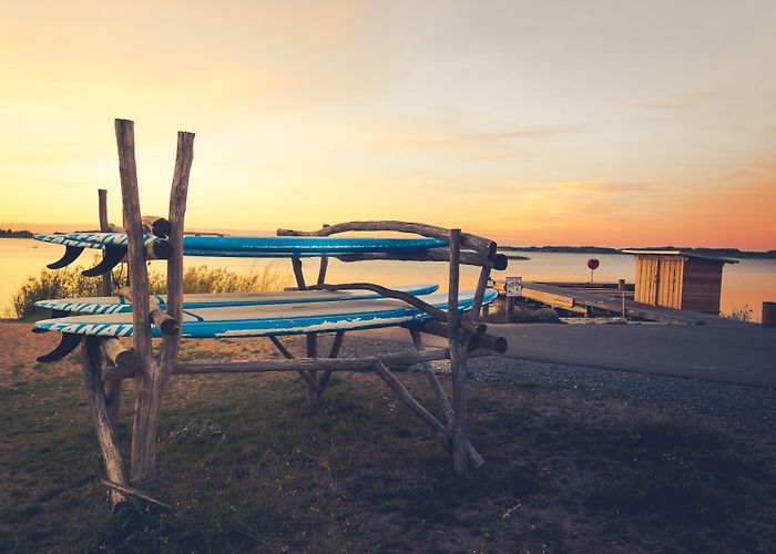 Muldestausee lake Water | WelterbeRegion Anhalt-Dessau-Wittenberg photo