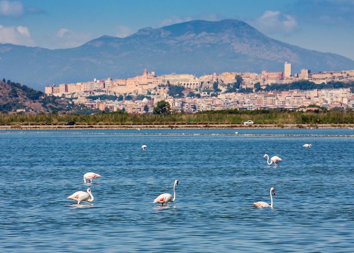 Molentargius Natural Park The Park of Molentargius - Saline | SardegnaTurismo - Sito ... photo