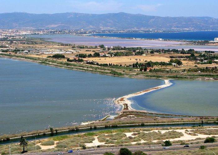Molentargius Natural Park The Park of Molentargius - Saline | SardegnaTurismo - Sito ... photo