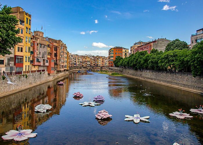Aiguamolls de l'Empordà Wine and Cuisine in Catalonia's Empordà Plain - BikeTours.com photo