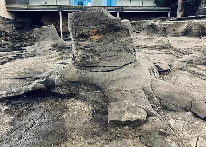 Fossil Grove Open Day at Fossil Grove, Glasgow – Scottish Geology Trust photo