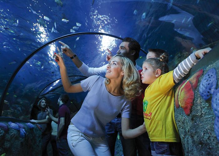 Gardaland Gardaland Resort: Italy's n° 1 amusement resort photo