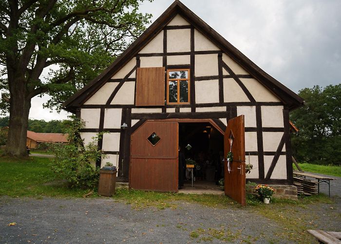 Tierpark Sababurg Once in a lifetime, wedding, Tierpark Sababurg ⋆ The Passenger photo