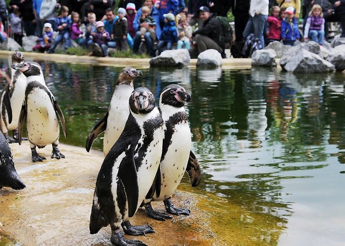 Tierpark Sababurg Tierpark Sababurg photo