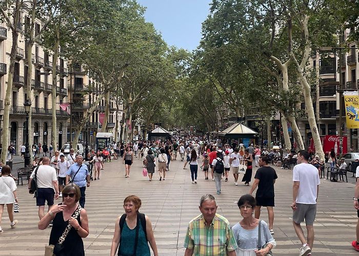La Rambla Tourism Office La Rambla: Guide to One of Barcelona's Most Famous Streets photo