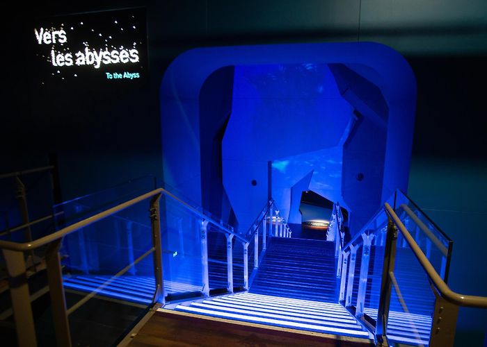 La Cite de la Mer Cité de la Mer Museum Uplifts the Underwater Experience with BenQ ... photo