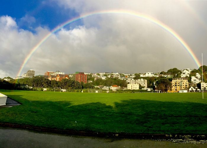 Kelburn Park Rainbow over Kelburn Park, Wellington : r/newzealand photo