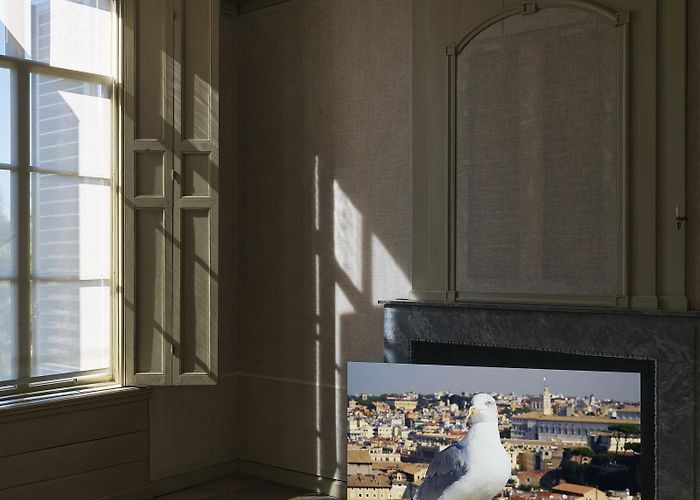 Amelisweerd Marijke van Warmerdam: Then, now, and then - Announcements - e-flux photo