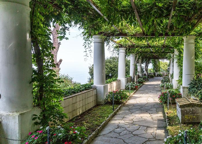 Axel Munthe House Villa San Michele - The Garden photo