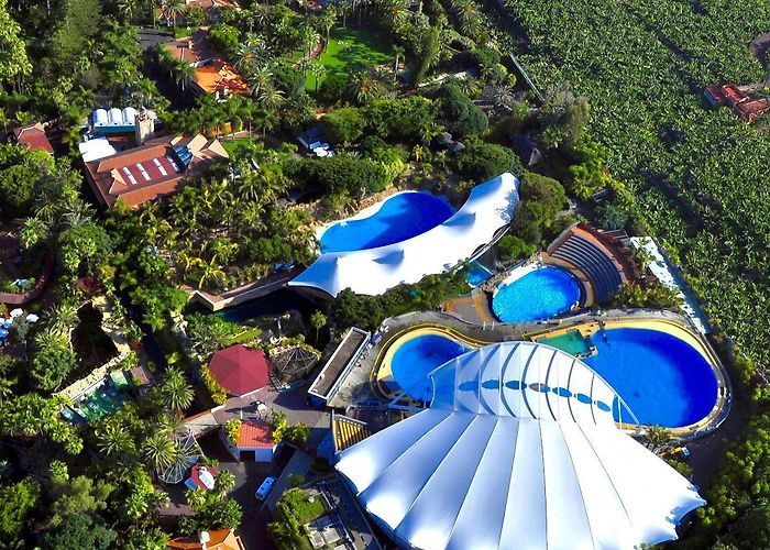 Loro Park (Loro Parque) Loro Parque + Siam Park Tickets with Transport photo