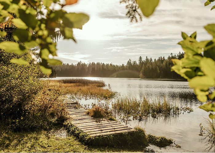 Étang de la Gruère Étang de la Gruère | Switzerland Tourism photo