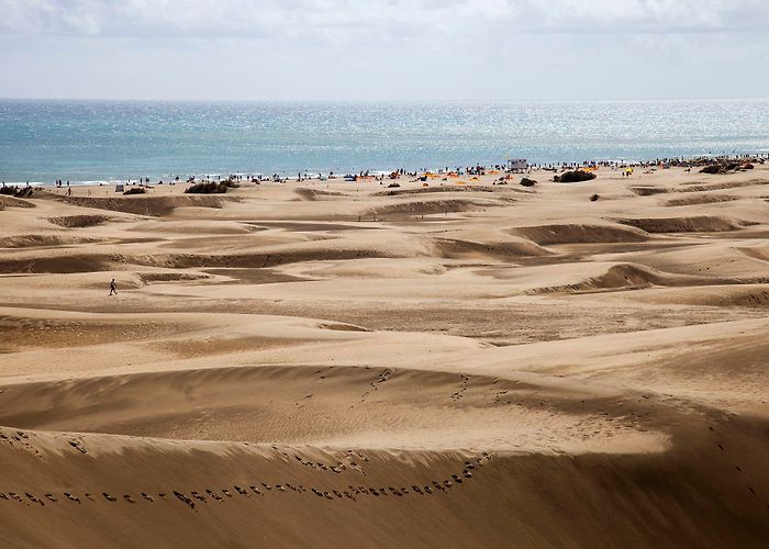 Maspalomas Dunes Tourists having sex in the dunes is ruining a Spanish beach | CNN photo