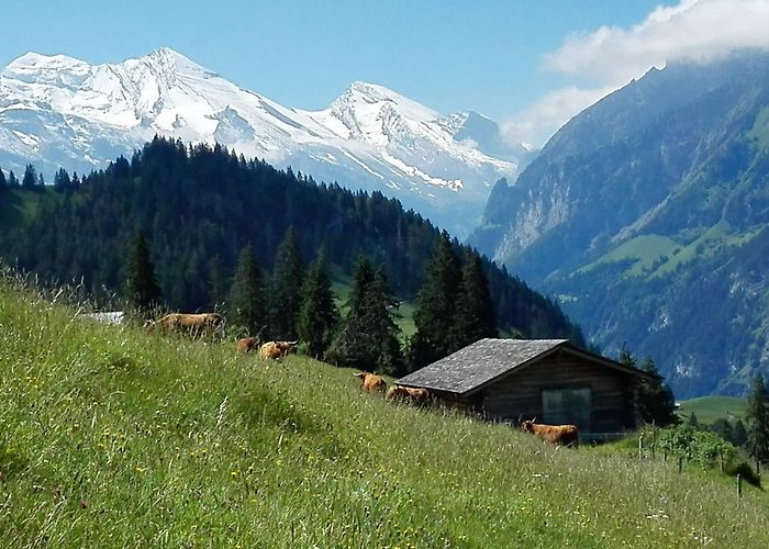 Tropic House Things to Do in Frutigen in 2024 | Expedia photo