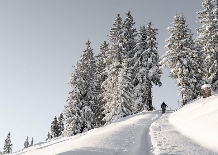 Rellerli Schönried – Rellerli (1833 M.a.s.l) - BERGFEX - Ski tour - Tour ... photo