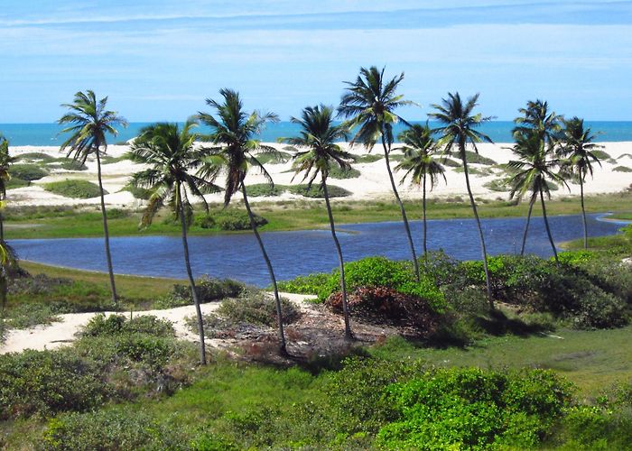 Icarai Beach Praia de Cumbuco in Caucaia: 12 reviews and 27 photos photo