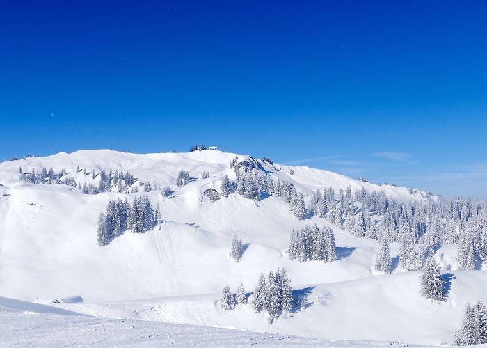 Luftseilbahn Weglosen-Seebli Visit Unteriberg: 2024 Travel Guide for Unteriberg, Canton of ... photo