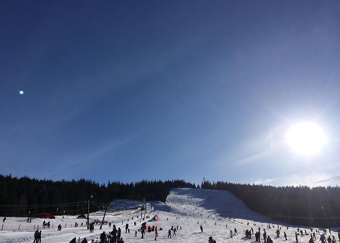 Mummelsee Visit Bühl: 2024 Travel Guide for Bühl, Baden-Württemberg | Expedia photo