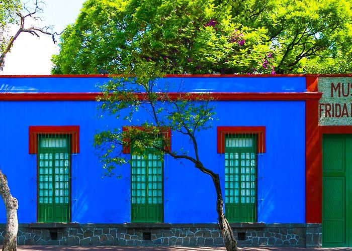 Alfredo Guati Rojo National Watercolor Museum Museum | Museo Frida Kahlo photo