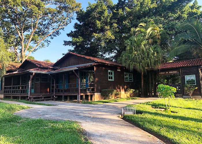 Biquinha park Coaves se reunirá no Parque da Biquinha para observação de aves e ... photo