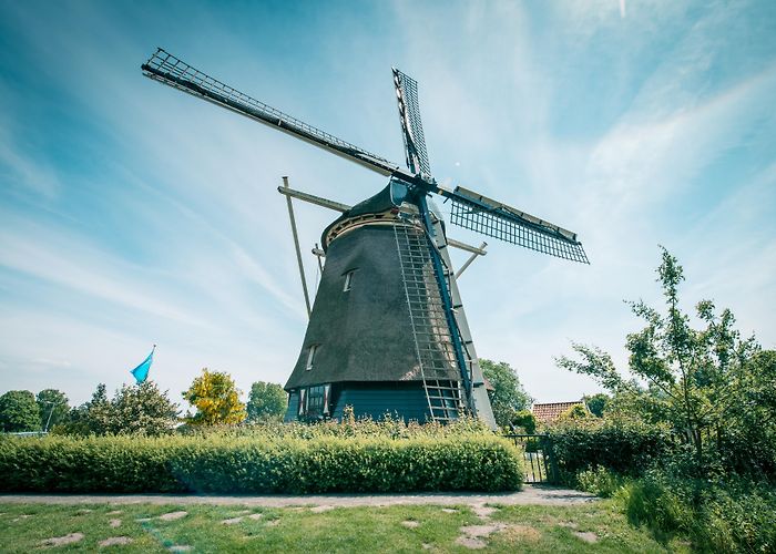 Amstelpark Amstelpark Tours - Book Now | Expedia photo